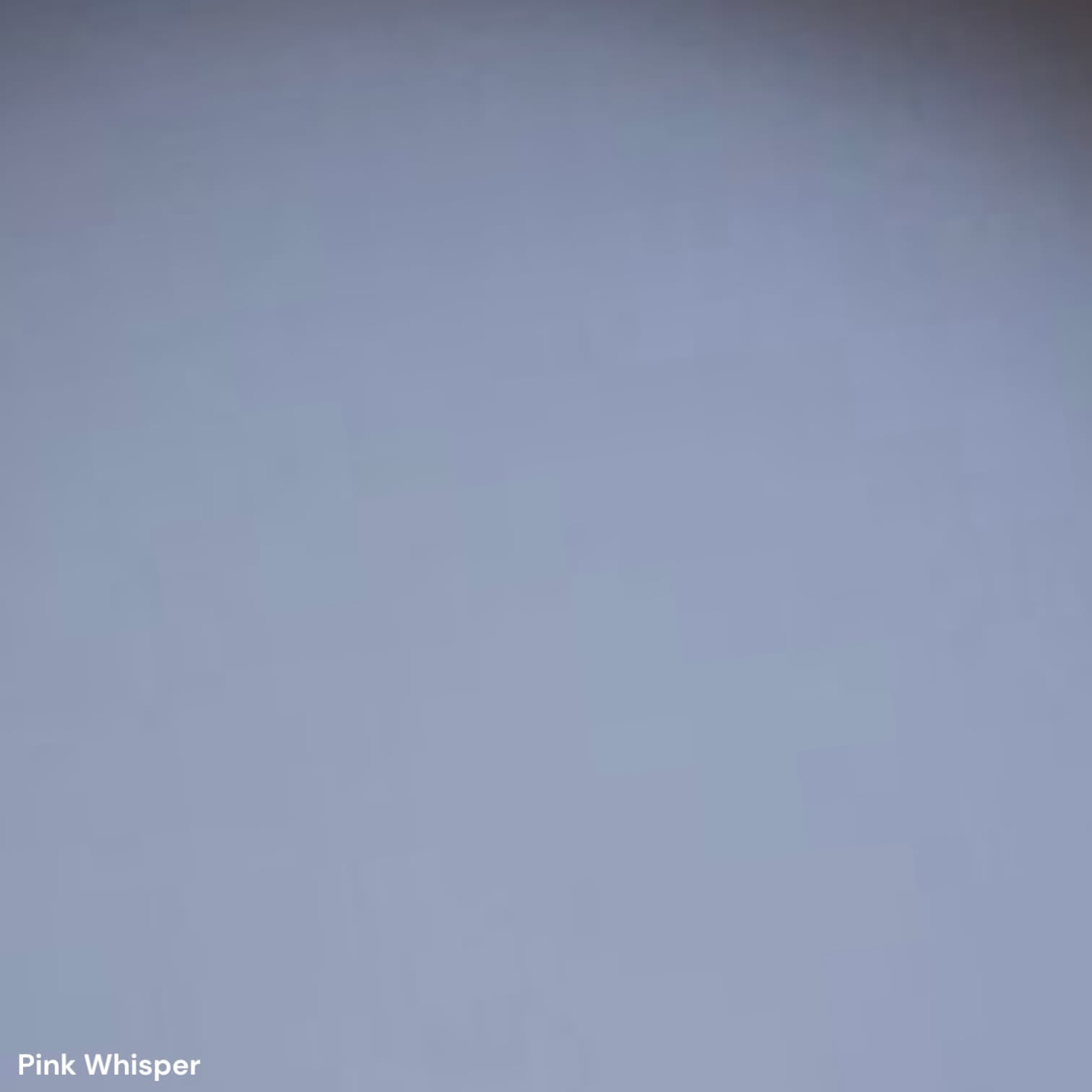 PettiCoat | StrongCoat - Pink Whisper