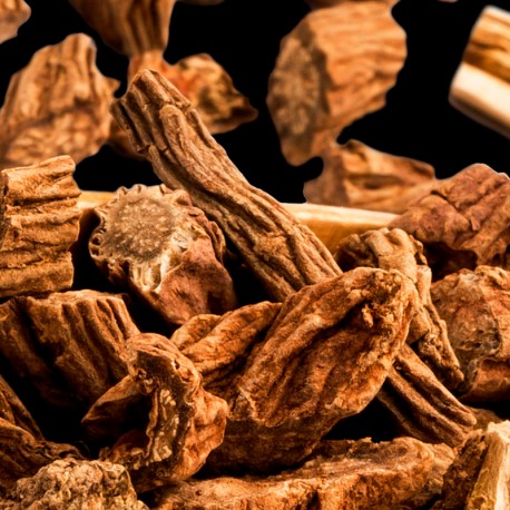 Yodeyma - Tendenze 50ml